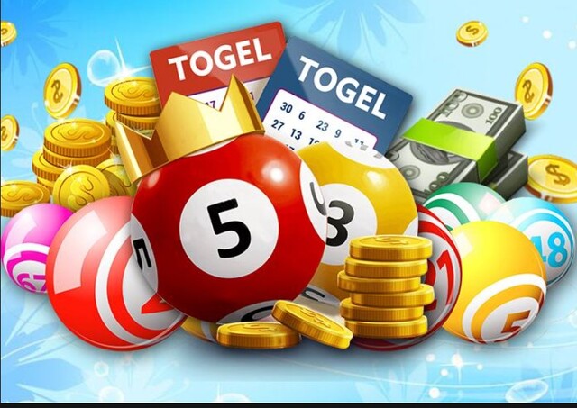 Cách nuôi dàn 10 số